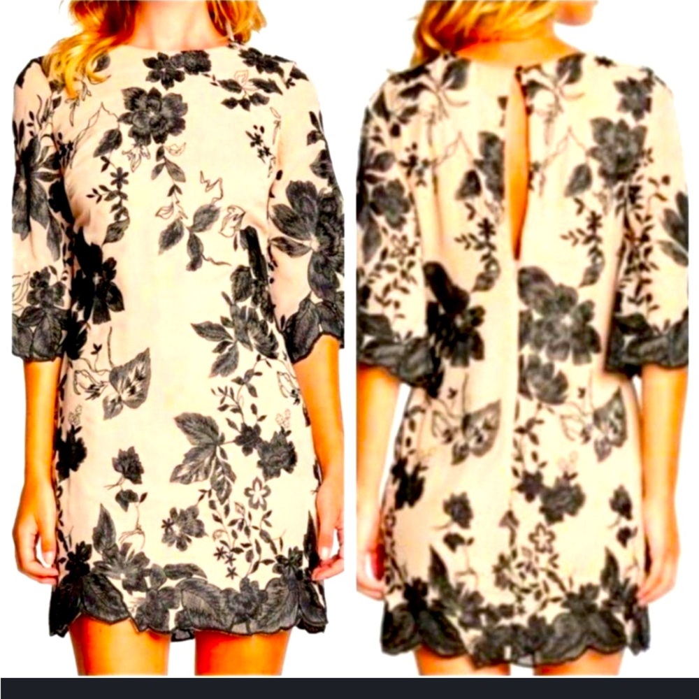 DRESS THE POPULATION’Paige' Metallic Embroidered Chiffon Shift Dress Sz M EUC